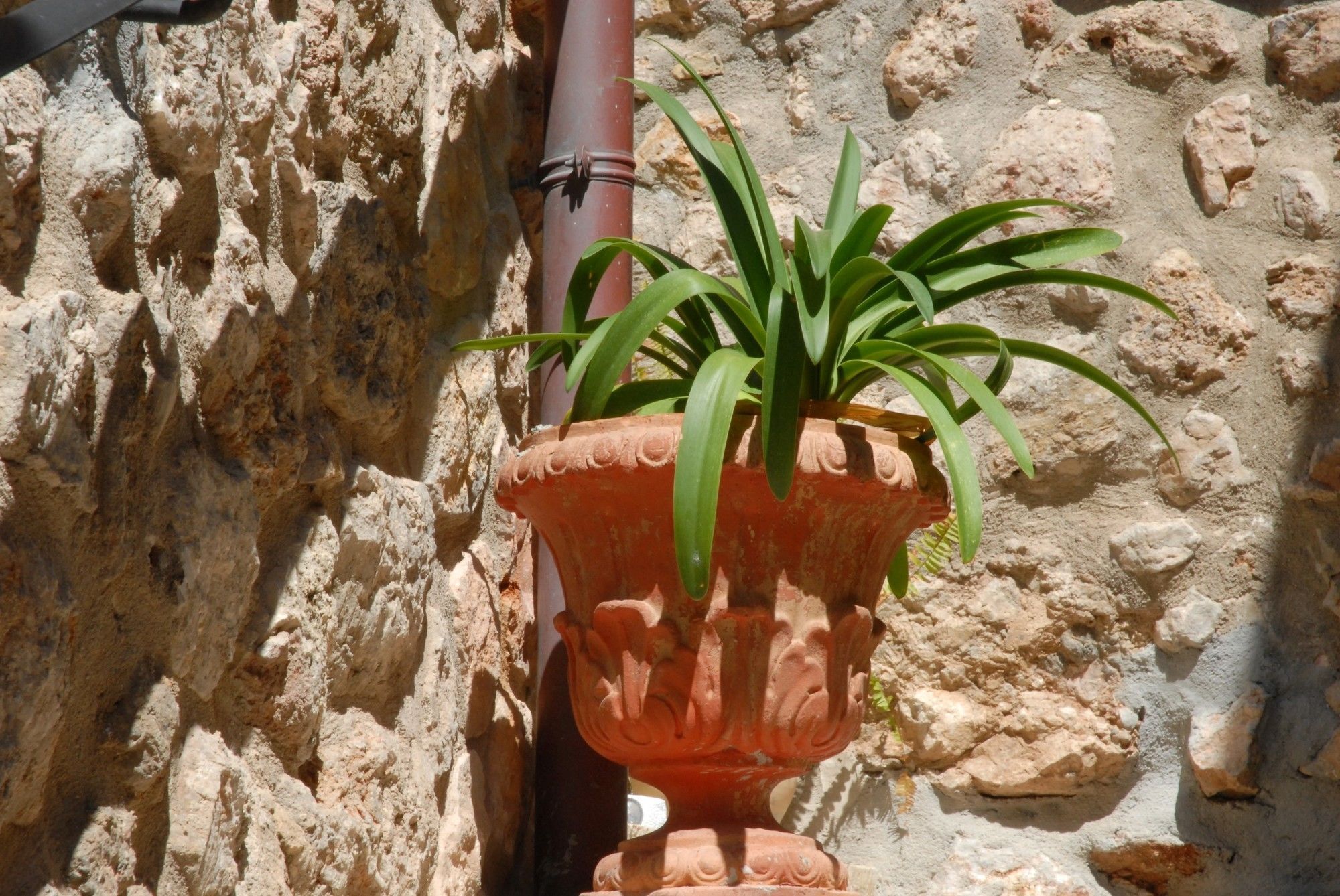 Hotel Sa Vall Valldemossa  Esterno foto